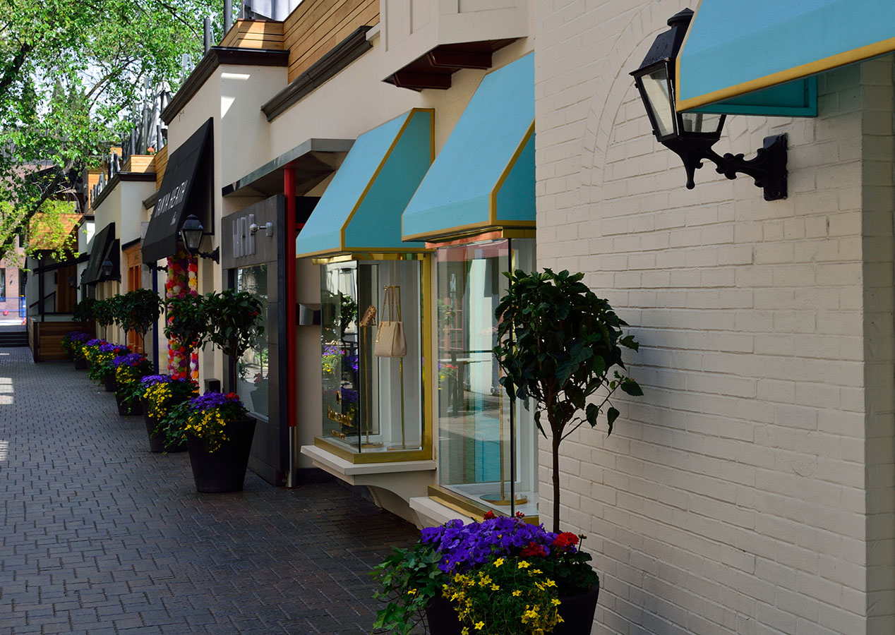 Richmond Hill Richmond Hill Real Estate - Daniel Fisherman, Sales Representative